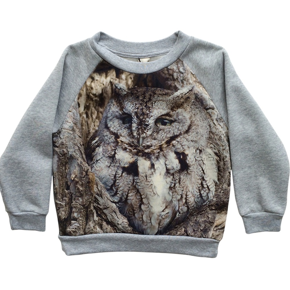 Pop Shop Little Boy Owl Sweatshirt